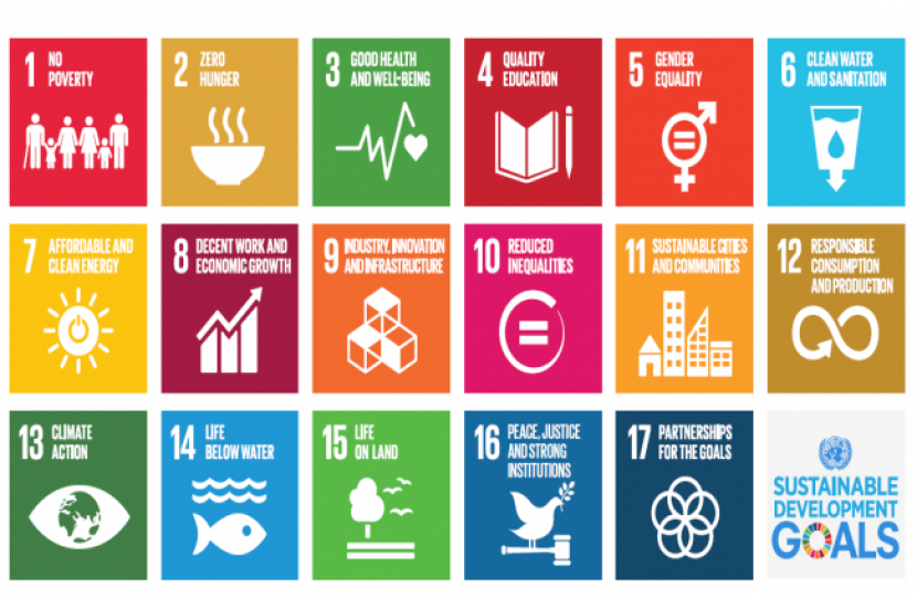 UN sustainable goals