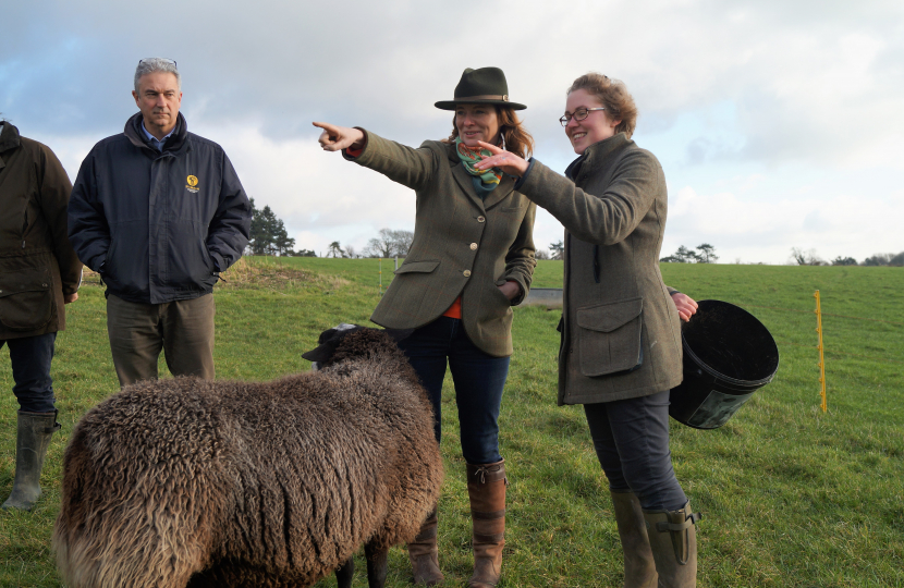 Gillian Keegan MP (centre) meets farmers in the Sussex.