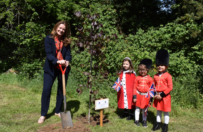 Stedham Primary - plant a tree